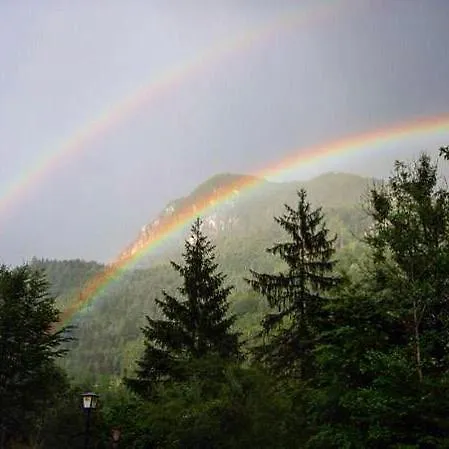 Und Saggraben * 팔파우